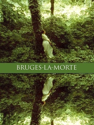 En dvd sur amazon Bruges-La-Morte