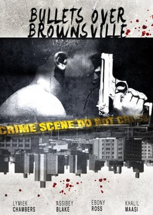 En dvd sur amazon Bullets Over Brownsville