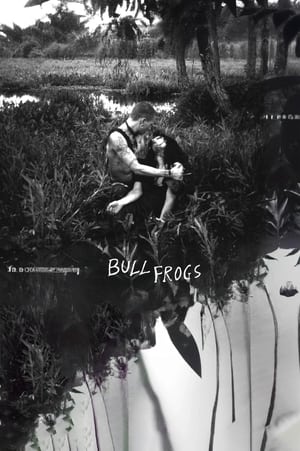 En dvd sur amazon Bullfrogs