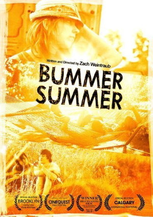 En dvd sur amazon Bummer Summer