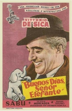 En dvd sur amazon Buongiorno, elefante!