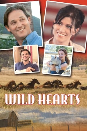 En dvd sur amazon Wild Hearts