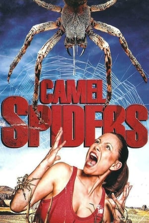 En dvd sur amazon Camel Spiders