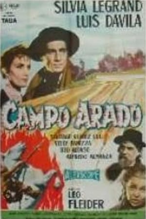 En dvd sur amazon Campo arado