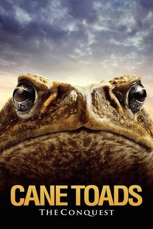 En dvd sur amazon Cane Toads: The Conquest