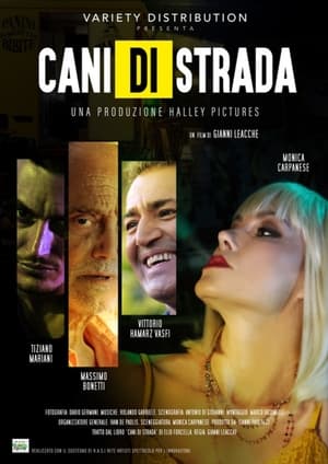 En dvd sur amazon Cani di strada