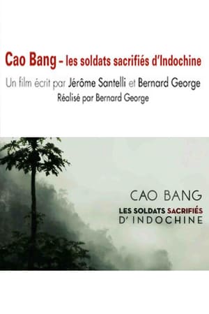 En dvd sur amazon Cao Bang, les soldats sacrifiés d'Indochine