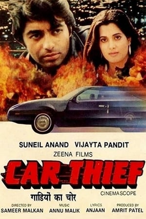En dvd sur amazon Car Thief
