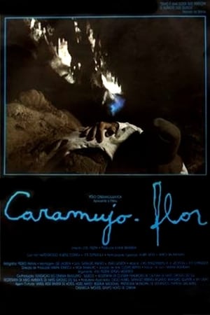 En dvd sur amazon Caramujo-Flor