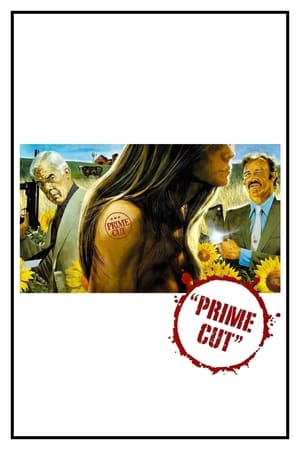En dvd sur amazon Prime Cut