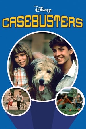 En dvd sur amazon Casebusters