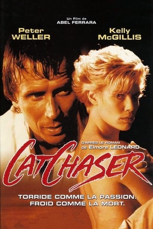 En dvd sur amazon Cat Chaser
