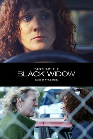 En dvd sur amazon Catching the Black Widow