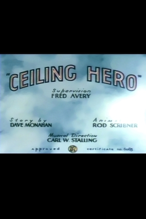 En dvd sur amazon Ceiling Hero