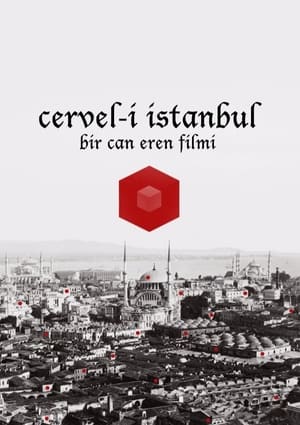 En dvd sur amazon Cervel-i İstanbul