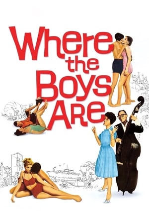 En dvd sur amazon Where the Boys Are