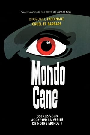 En dvd sur amazon Mondo Cane