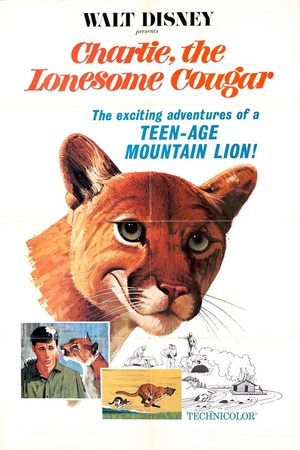 En dvd sur amazon Charlie, the Lonesome Cougar