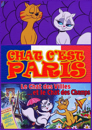 En dvd sur amazon Gay Purr-ee