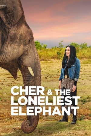 En dvd sur amazon Cher & the Loneliest Elephant