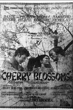 En dvd sur amazon Cherry Blossoms