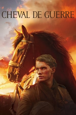 En dvd sur amazon War Horse