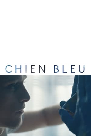 En dvd sur amazon Chien bleu