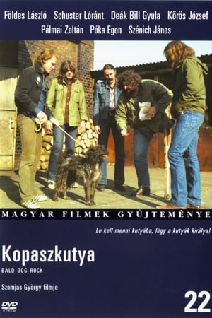 En dvd sur amazon Kopaszkutya