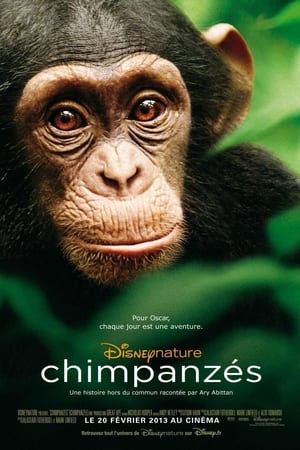 En dvd sur amazon Chimpanzee