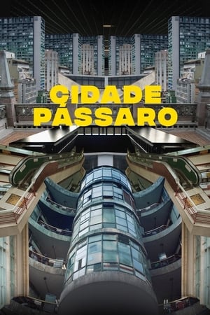 En dvd sur amazon Cidade Pássaro