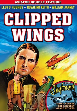 En dvd sur amazon Clipped Wings