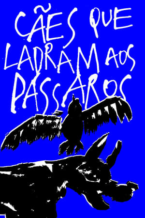 En dvd sur amazon Cães que ladram aos pássaros