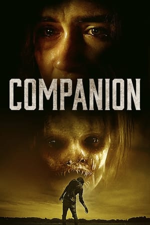 En dvd sur amazon Companion