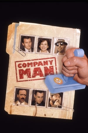 En dvd sur amazon Company Man