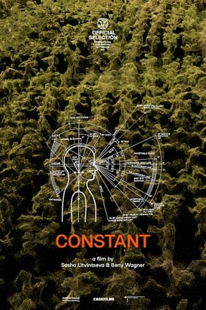 En dvd sur amazon Constant