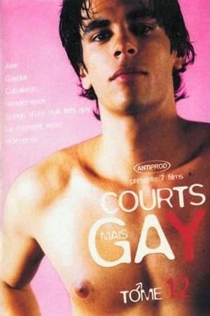 En dvd sur amazon Courts mais Gay : Tome 12