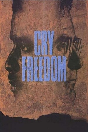 En dvd sur amazon Cry Freedom