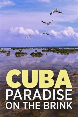 En dvd sur amazon Cuba, l'île bleue/verte