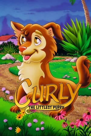 En dvd sur amazon Curly - The Littlest Puppy