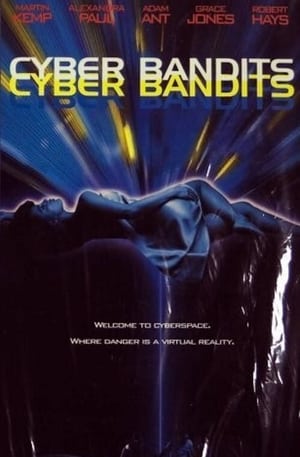 En dvd sur amazon Cyber Bandits