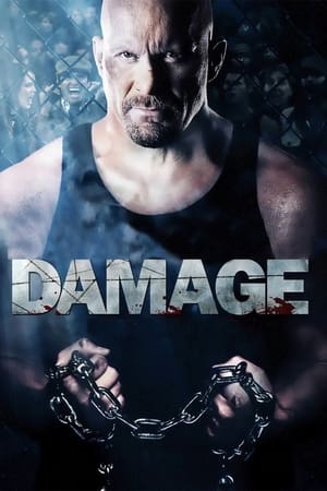 En dvd sur amazon Damage