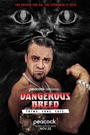 En dvd sur amazon Dangerous Breed: Crime. Cons. Cats.