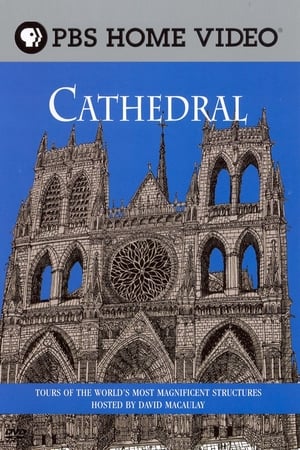 En dvd sur amazon David Macaulay: Cathedral