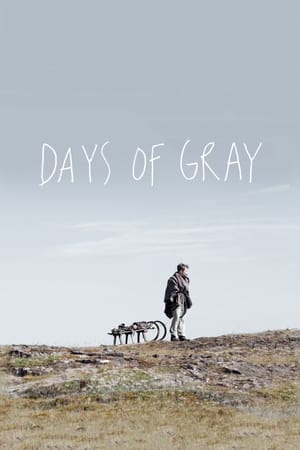 Téléchargement de 'Days of Gray' en testant usenext