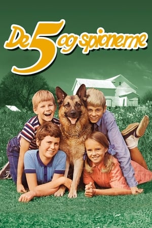 En dvd sur amazon De fem og spionerne