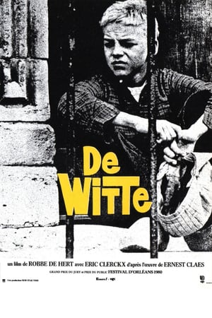 En dvd sur amazon De Witte van Sichem