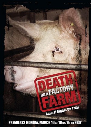 En dvd sur amazon Death on a Factory Farm
