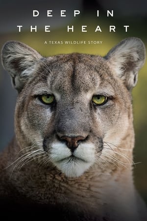 En dvd sur amazon Deep in the Heart: A Texas Wildlife Story