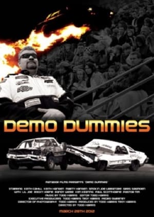 En dvd sur amazon Demo Dummies