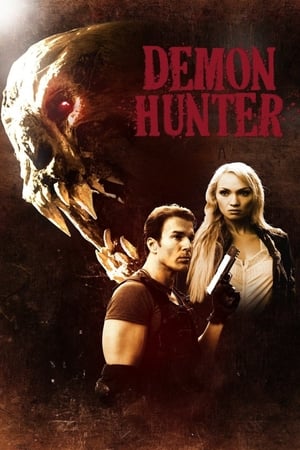 En dvd sur amazon Demon Hunter